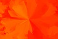 Red orange abstract asymmetric geometric radial shapes background. Digital transformation