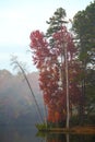 Red and Orange Autumn Folliage near a Lake