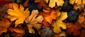 Red and orange autumn leaves background. Outdoor. Colorful backround image of fallen autumn leaves perfect for seasonal use