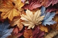 Red and orange autumn leaves background. Outdoor. Colorful backround image of fallen autumn leaves perfect for seasonal use