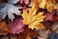 Red and orange autumn leaves background. Outdoor. Colorful backround image of fallen autumn leaves perfect for seasonal use