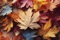 Red and orange autumn leaves background. Outdoor. Colorful backround image of fallen autumn leaves perfect for seasonal use