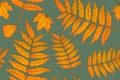 Red and Orange Autumn Leaves Yellow. Background autumn pattern sheet seamless. Pattern for the fabric. Fern print. Trend autumn Royalty Free Stock Photo