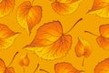 Red and Orange Autumn Leaves Yellow. Background autumn pattern sheet seamless. Leaves of the fern. Pattern for the fabric. Fern Royalty Free Stock Photo