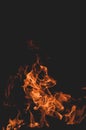 Red orange bonfire. Black vertical background