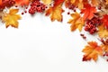 red, orange, brown and yellow autumn leaves on a white background. Royalty Free Stock Photo