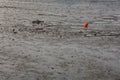 Red orange buoy on the beach during low tide Royalty Free Stock Photo