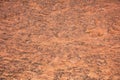 Red sandstone desert rock background, texture
