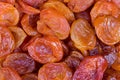 Red and orange dried apricots in close-up Royalty Free Stock Photo