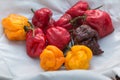 Red and Orange Dried Chili Peppers inside White Bowl Royalty Free Stock Photo