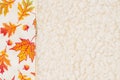 Red and orange fall leaves border autumn background on beige sherpa material