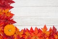 Red and orange fall leaves and pumpkin on weathered whitewash wood textured background