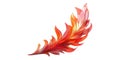 Red And Orange Feather Icon With Detailed Texture Isolated on Transparent Background Royalty Free Stock Photo