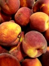 Red orange fresh and ripepeaches pile