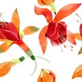 Red orange fuchsia floral botanical flower. Watercolor background illustration set. Seamless background pattern.