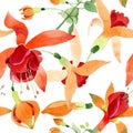 Red orange fuchsia floral botanical flower. Watercolor background illustration set. Seamless background pattern.