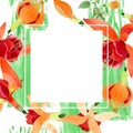 Red orange fuchsia floral botanical flower. Watercolor background illustration set. Frame border ornament square.