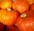 Red orange Hokkaido pumpkins close up