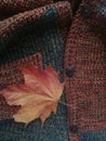 Red-orange maple leaf on a soft jacket