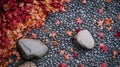 Red and Orange Maple Leaves on a Pebble Path Royalty Free Stock Photo