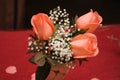 Red orange pink roses, gypsophila and green leaves on a glass cup Royalty Free Stock Photo