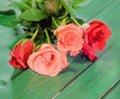Red and orange roses flower, green wood background Royalty Free Stock Photo