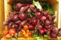 Farm fresh beets displayed in wooden crate Royalty Free Stock Photo