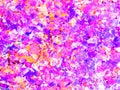Red and orange sparkly. Purple glitter background. Pink background. Elegant abstract background brilliant shimmer