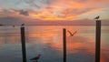 red and orange sunset view gorgeous panorama scenic with cloud sky of tropical sea beach Royalty Free Stock Photo