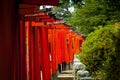 Red - orange tori gates at a shinto shrine, Japan Royalty Free Stock Photo