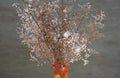 Red orange vase with dried flowers on neutral background casting shadows . Minimal modern interior decoration concept. wabi sabi