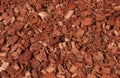 Red and orange wood chips texture. Royalty Free Stock Photo