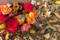 Red orange yellow autumn bouquet with pink rose flowers, fall leaves and pumpkin close up in box by professional florist Royalty Free Stock Photo