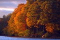 Brilliant autumn foliage at the lake Royalty Free Stock Photo