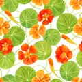 Red, orange, yellow nasturtium flowers and leaves seamless pattern. Hand drawn botanical watercolor illustration with