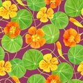 Red, orange, yellow nasturtium flowers and leaves seamless pattern. Hand drawn botanical watercolor illustration with