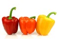 Red, orange and yellow paprika(capsicum) Royalty Free Stock Photo