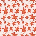 Red-orangeflowers on lite white-red background. Royalty Free Stock Photo