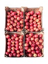 Red organic apples in four cardboard boxes isolated on a white b