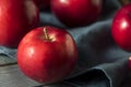 Red Organic Macintosh Apples Royalty Free Stock Photo