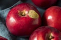 Red Organic Macintosh Apples Royalty Free Stock Photo