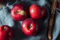Red Organic Macintosh Apples Royalty Free Stock Photo