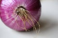 Red Organic Onion