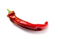 Red organic snack pepper, bellpepper with copy space Royalty Free Stock Photo