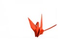 Red origami bird isolated on white background. Royalty Free Stock Photo