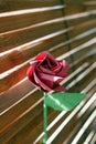 Red Origami Rose