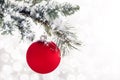 Red Ornament Snowy Branch Royalty Free Stock Photo