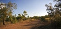 Red Outback Dirt Road, Tropical Bush Royalty Free Stock Photo