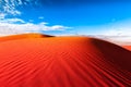 Animal tracks in red sand dune Royalty Free Stock Photo