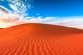 Animal tracks in red sand dune Royalty Free Stock Photo